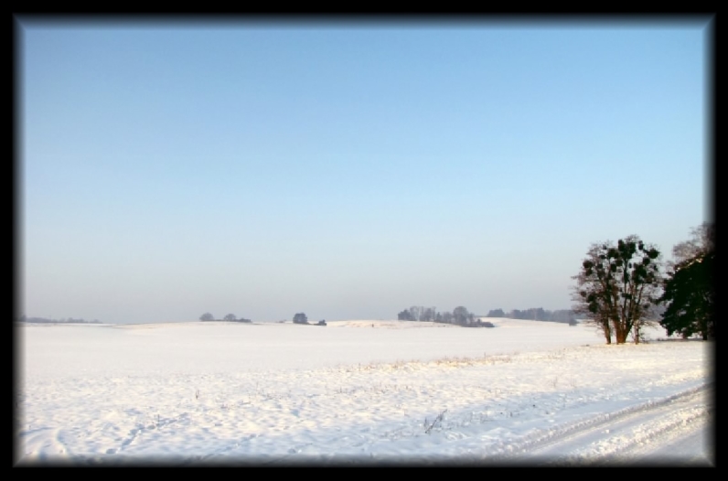 Eine Winterlandschaft als Hintergrundbild.